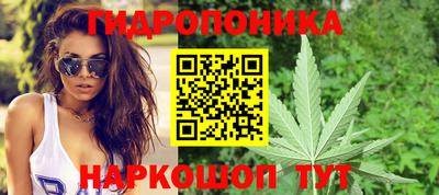 прущие крисы Гусиноозёрск