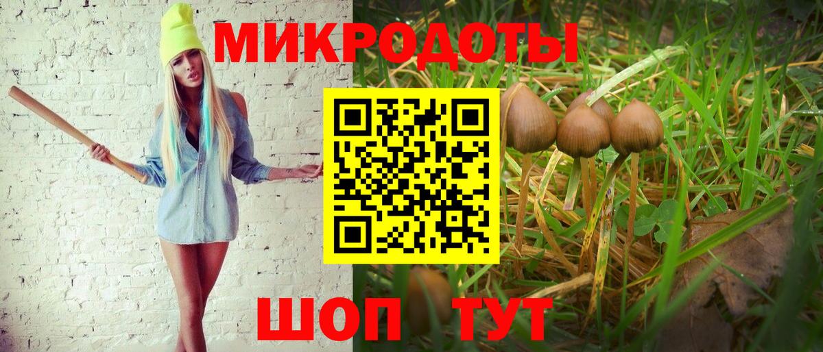 Псилоцибиновые грибы Psilocybe  Вход с VPN  Новоалтайск 